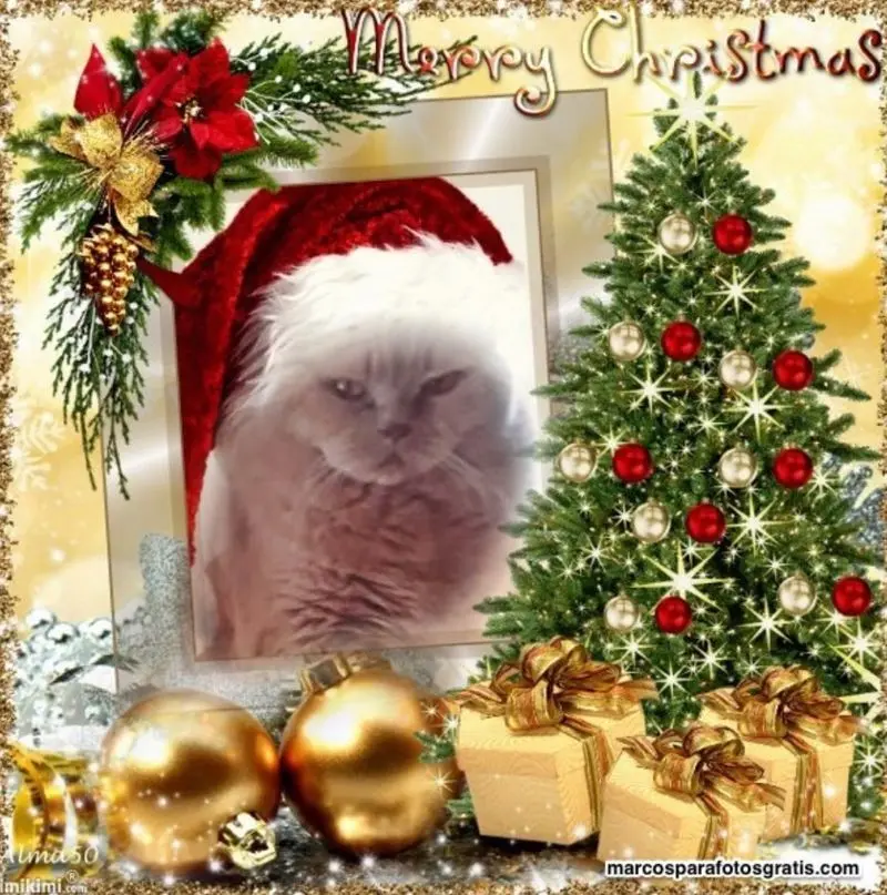 Condolence image of ❤️WEIHNACHTEN❤️❤️❤️