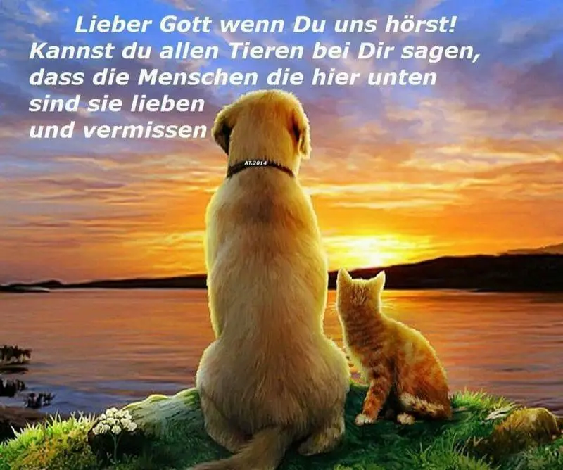 Condolence image of Ellen mit Lina ❤️