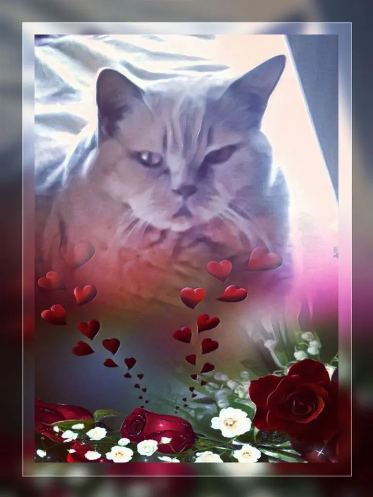 Condolence image of Ellen mit Lina ❤️
