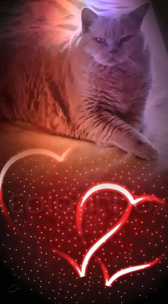 Condolence image of Ellen mit Lina ❤️