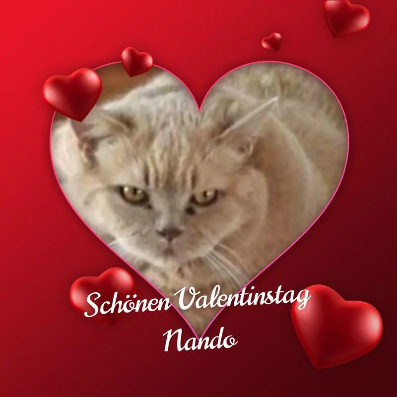 Condolence image of Sabine mit Kaspar tief im Herzen