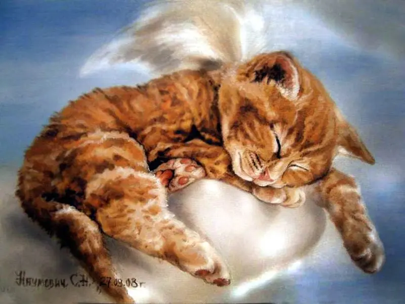 Condolence image of Tanja mit Timmy im Herzen 