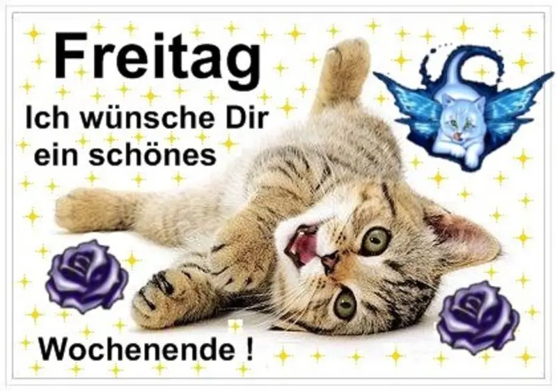 Condolence image of Tanja mit Timmy im Herzen 