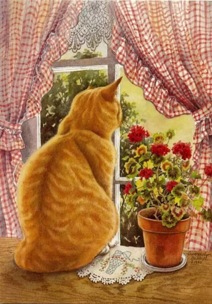 Condolence image of Tanja mit Timmy im Herzen 
