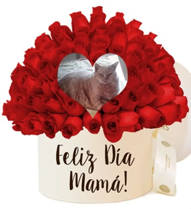 Condolence image of ❤️Mama❤️