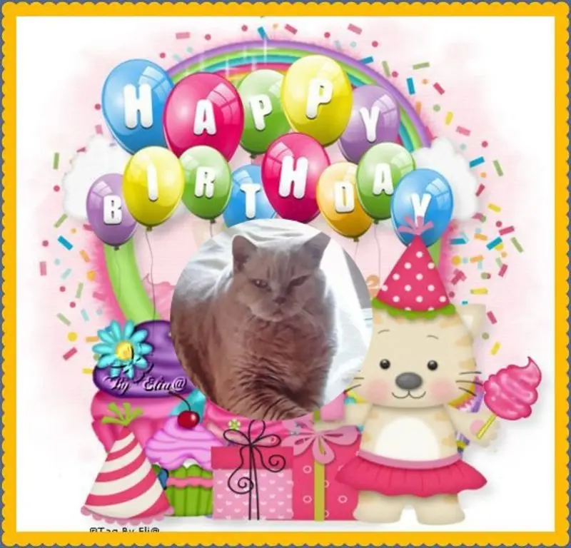 Condolence image of 12.Geburtstag❤️❤️❤️❤️❤️❤️❤️❤️❤️❤️❤️❤️
