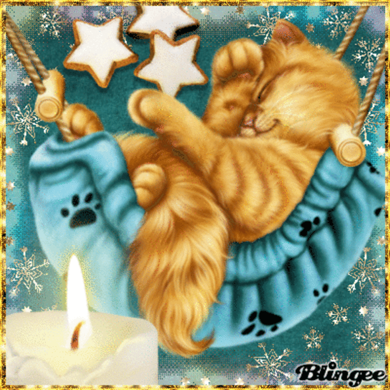 Condolence image of Tanja mit Timmy im Herzen 