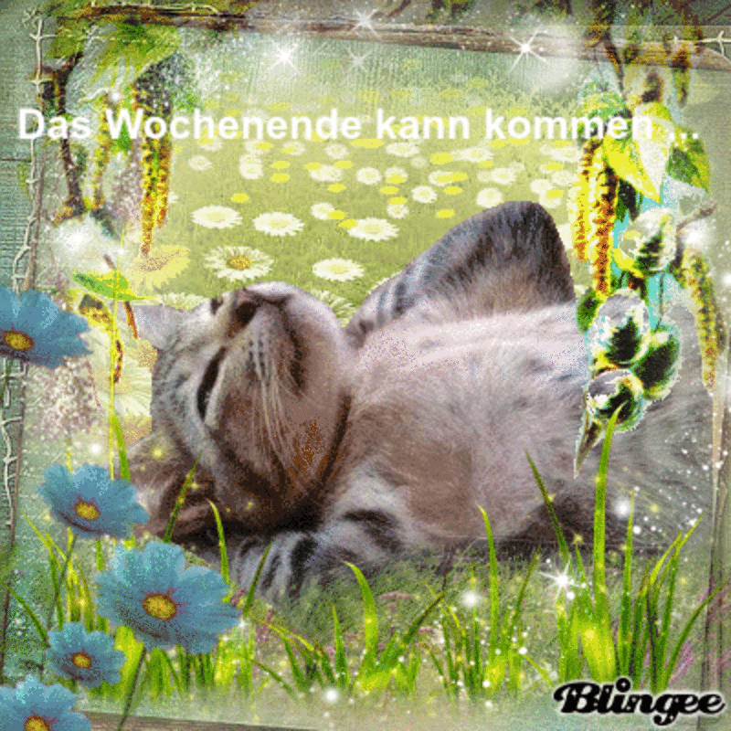 Condolence image of Tanja mit Timmy im Herzen 