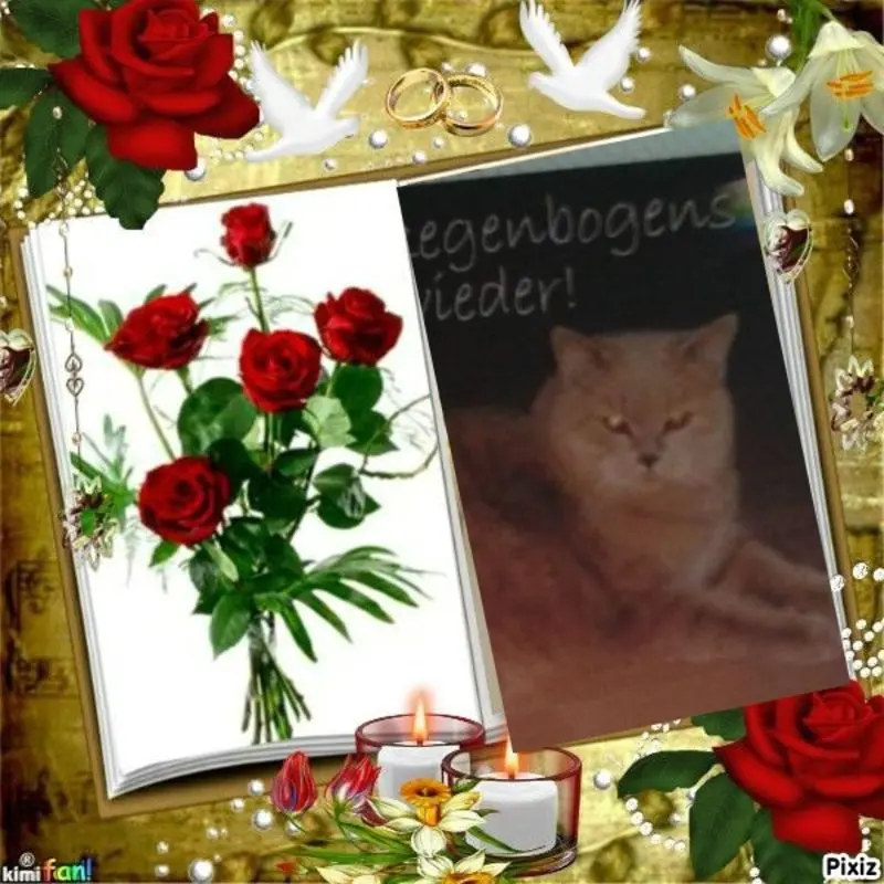 Condolence image of Jutta mit Purzel tief im Herzen✟08.05.2016 