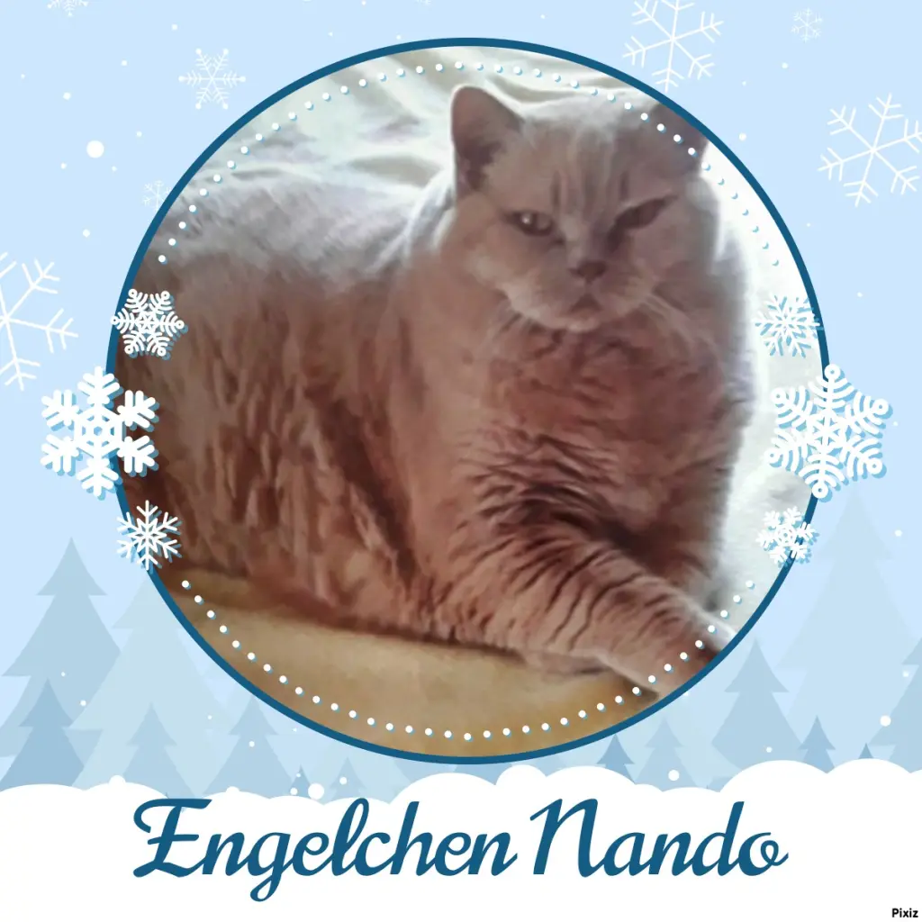 Condolence image of Tanja mit Timmy im Herzen 
