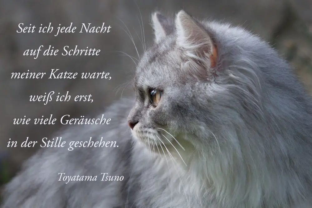 Condolence image of Unbekannt