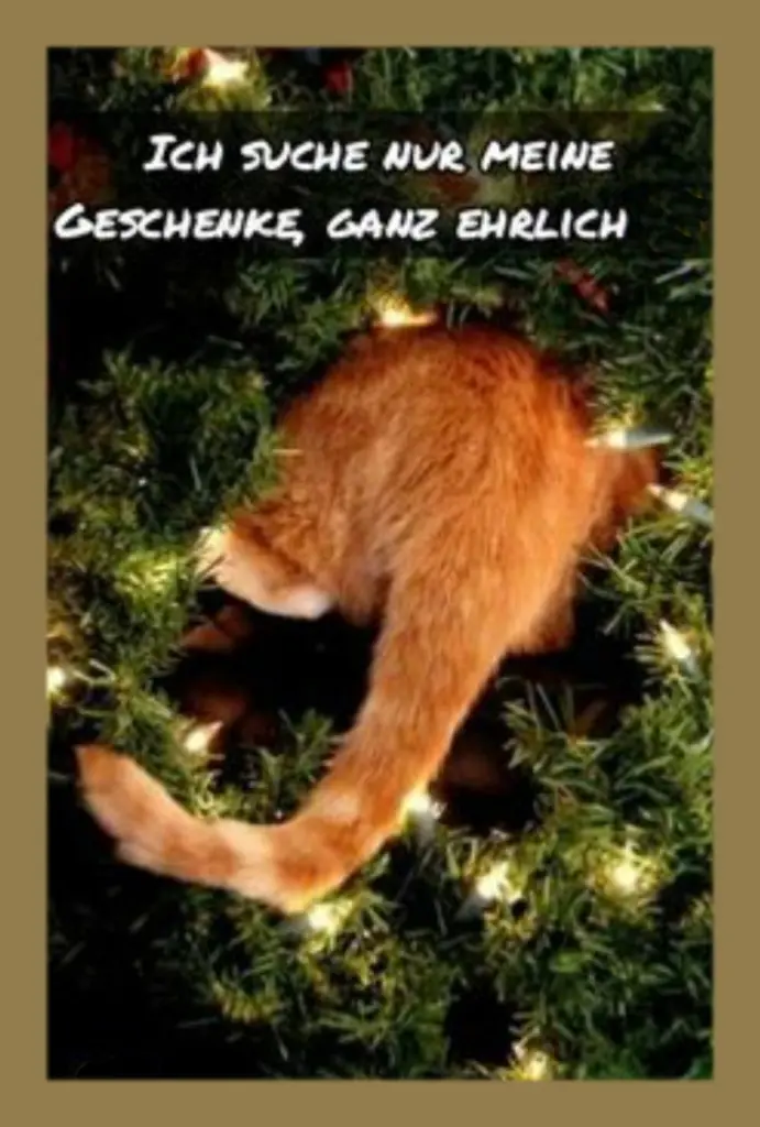 Condolence image of Weihnachtsgrüße die von Herzen kommen✰ ¸.•*¨*•.