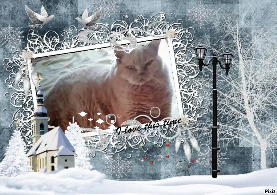 Condolence image of Tanja mit Timmy im Herzen