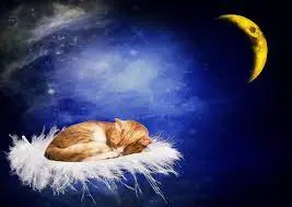 Condolence image of Anja mit Maja & Gräuli im ༺❤️༻
