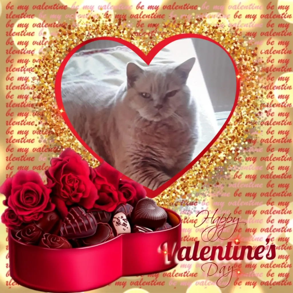 Condolence image of Valentins❤️Rosen❤️❤️❤️❤️❤️❤️❤️❤️