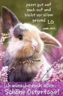 Condolence image of ❤️Ostergrüße