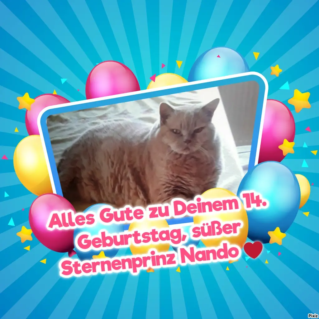 Condolence image of Tanja mit Timmy im Herzen