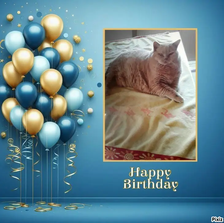Condolence image of Tanja mit Timmy im Herzen