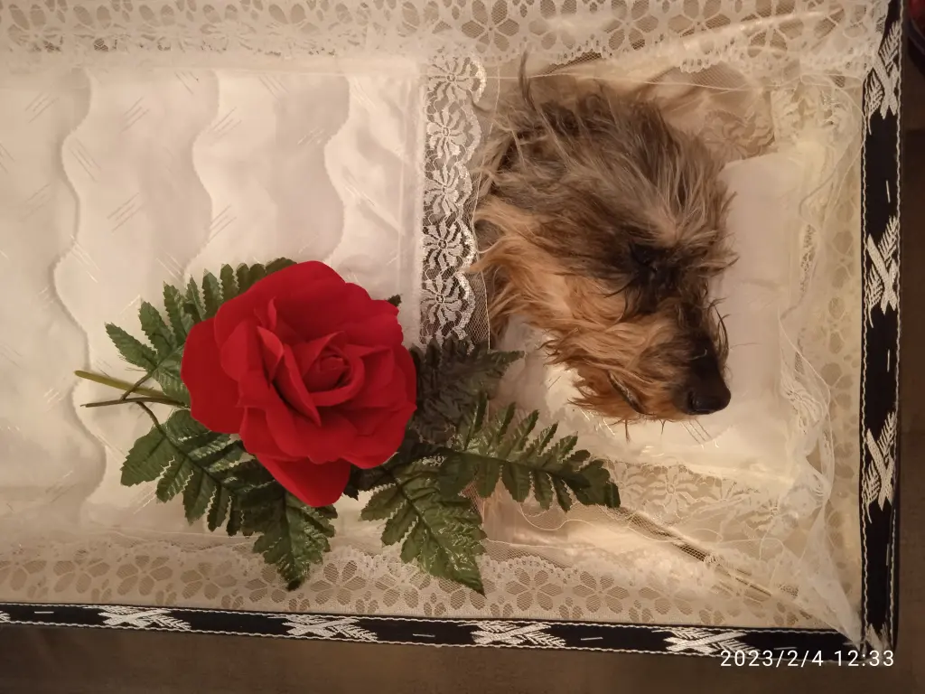 Condolence image of heike