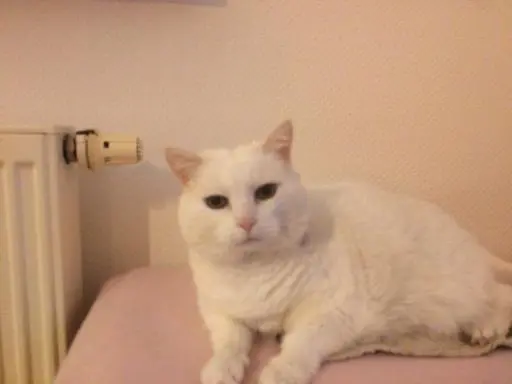 Condolence image of heike