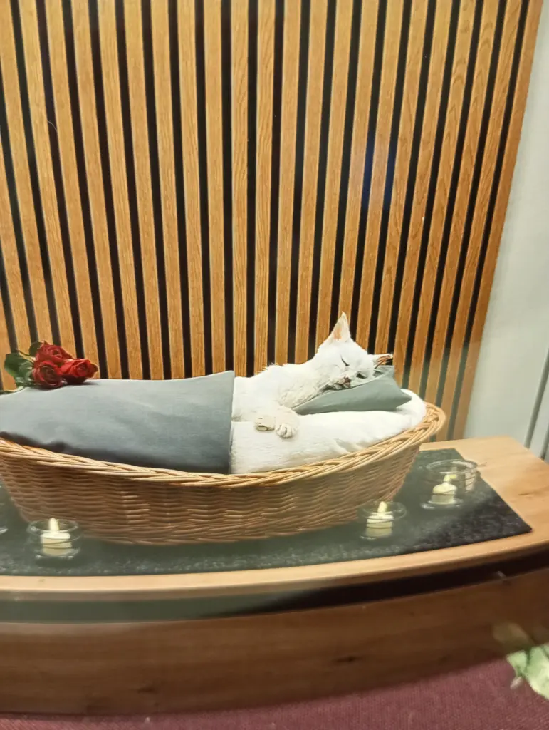 Condolence image of Heike