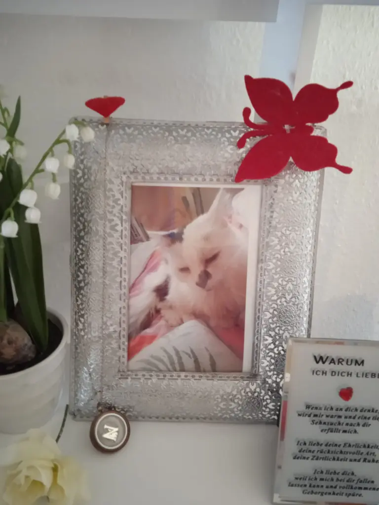 Condolence image of Heike