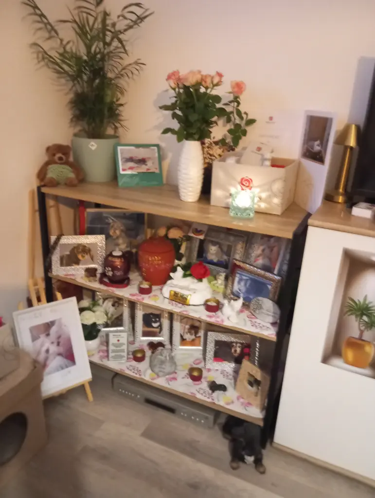Condolence image of Heike