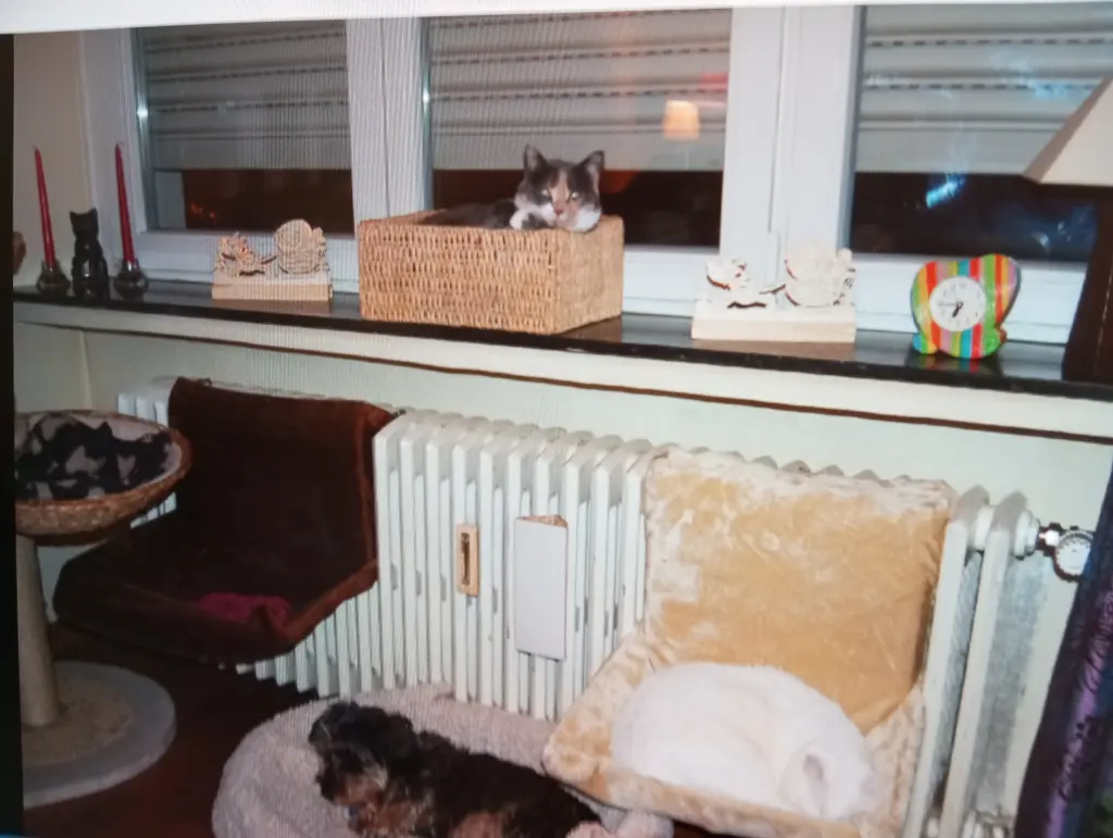 Condolence image of Heike