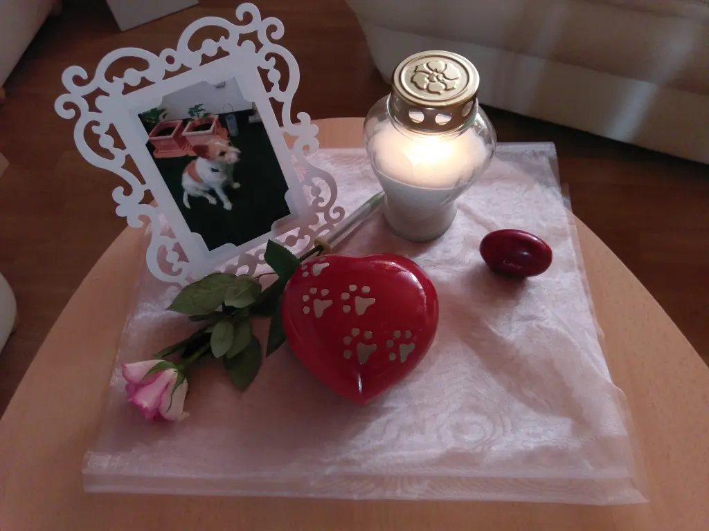 Image from Fanny