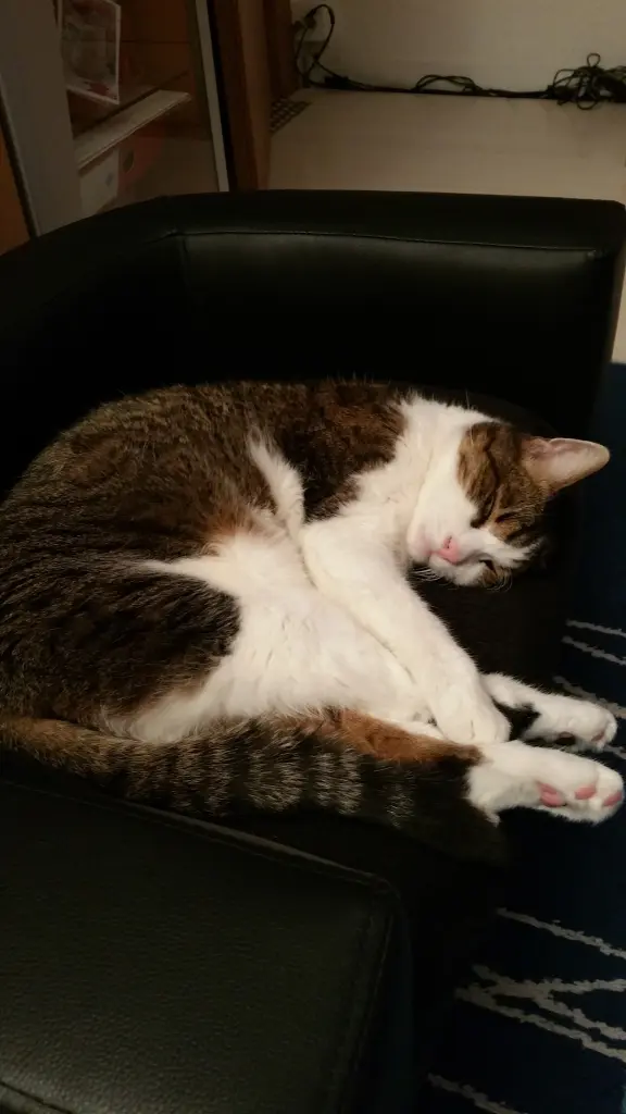 Andachtsbild von Tanja mit Timmy im Herzen