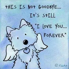 Condolence image of Birgit