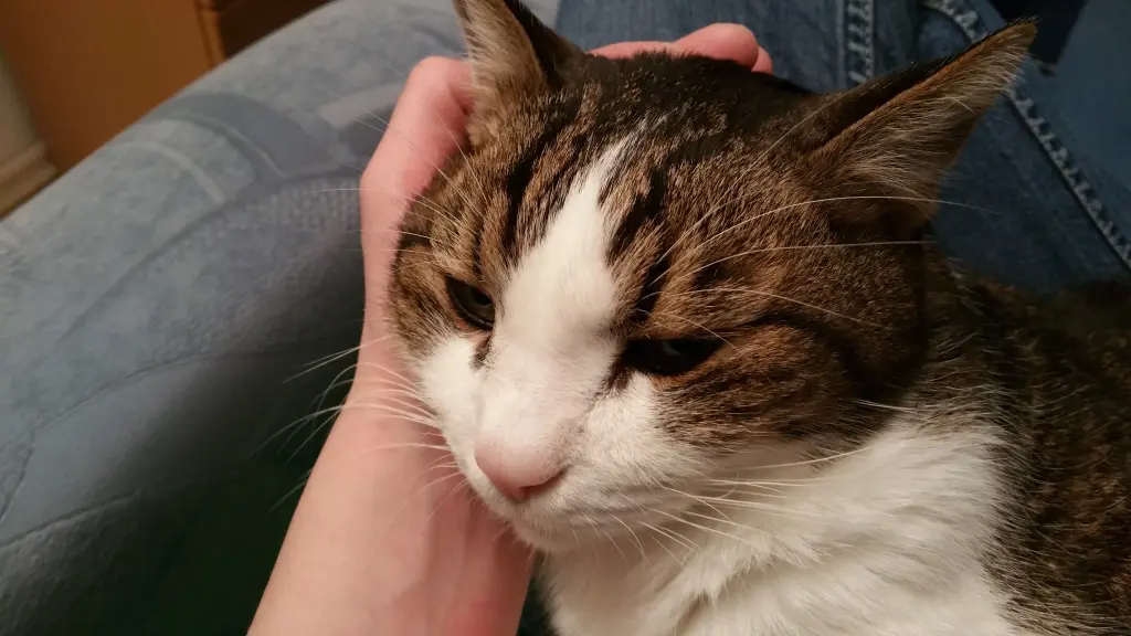 Andachtsbild von Tanja mit Timmy im Herzen