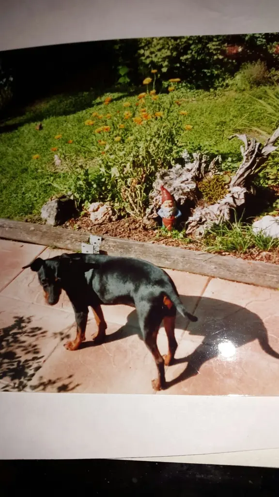 Andachtsbild von Marga mit Rambo im Herzen