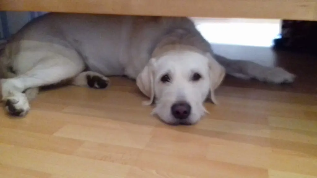 Andachtsbild von Marion