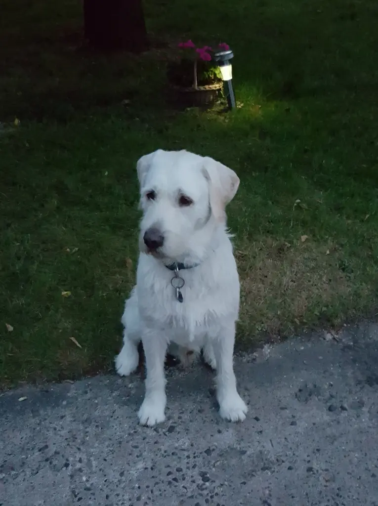 Andachtsbild von Marion