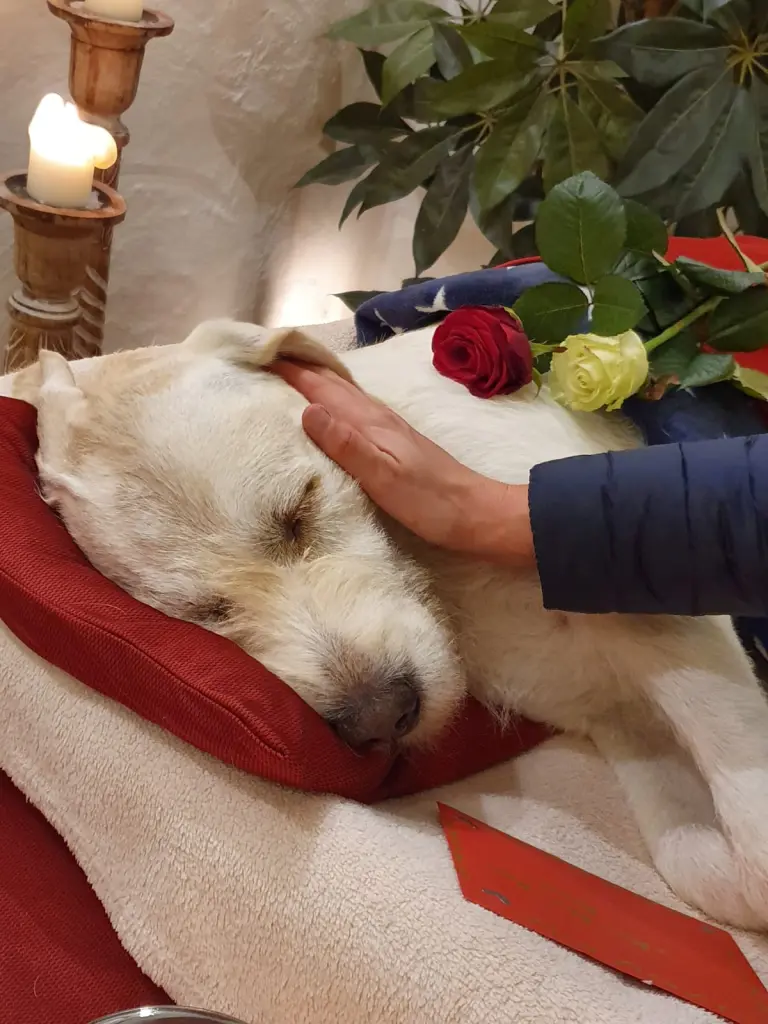 Andachtsbild von Marion