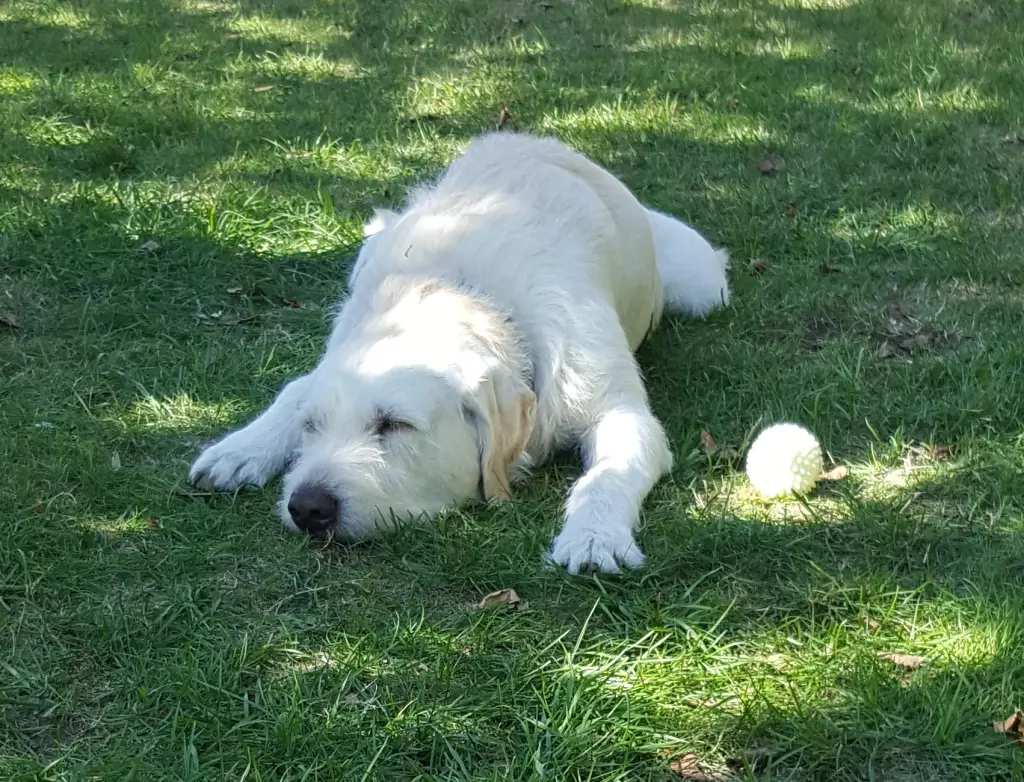 Andachtsbild von Marion