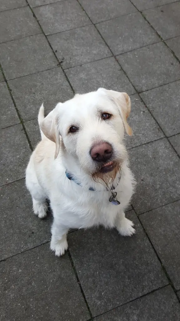 Andachtsbild von Marion