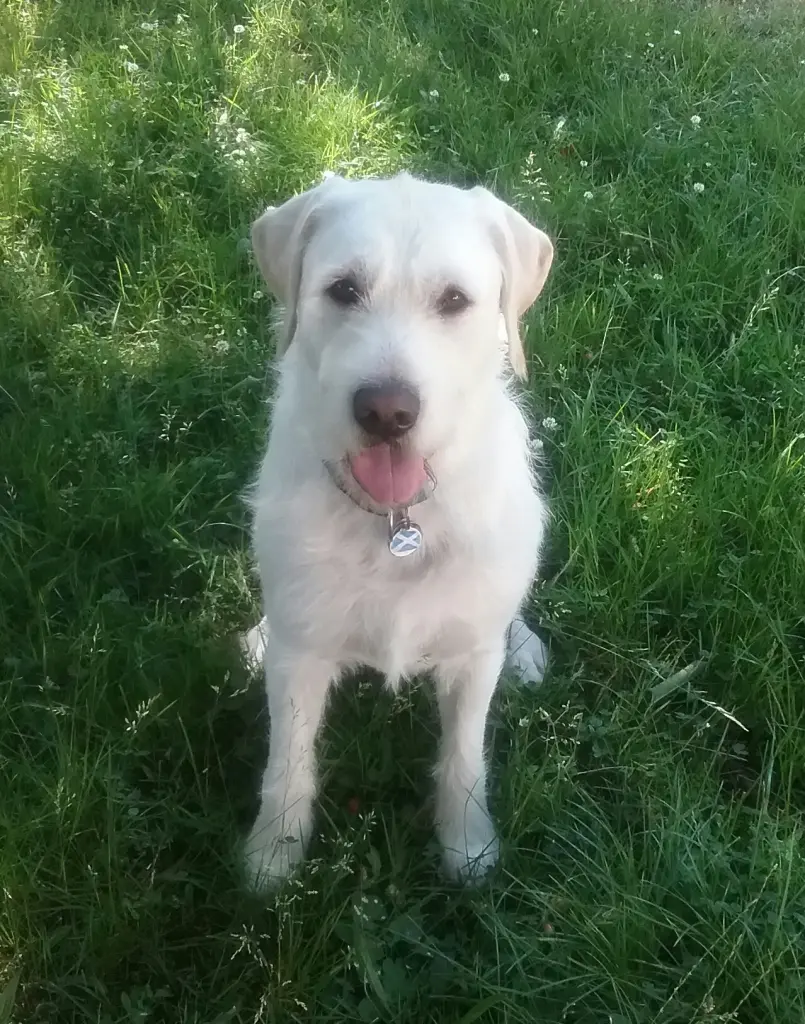 Andachtsbild von Marion