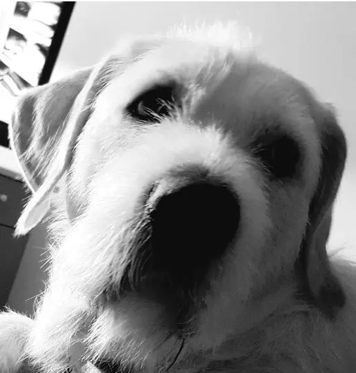 Andachtsbild von Marion Witte