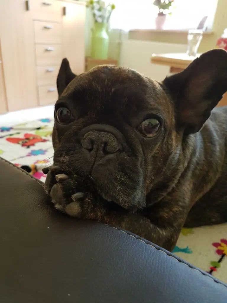 Bild von Lani