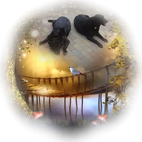 Condolence image of ❤️❤️❤️