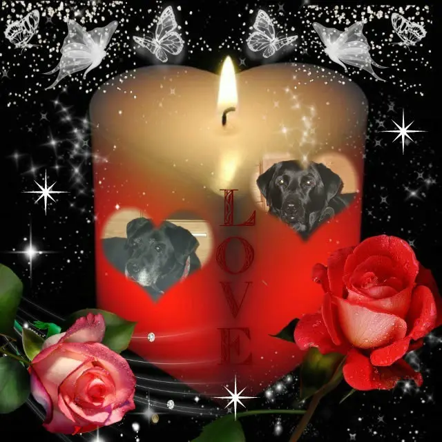 Condolence image of ❤️❤️❤️