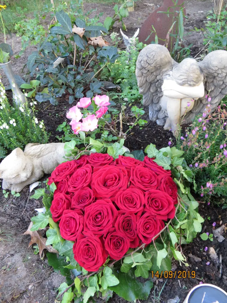 Condolence image of Uschi mit Seelenfreunden Shiva, Jojo und Merlin
