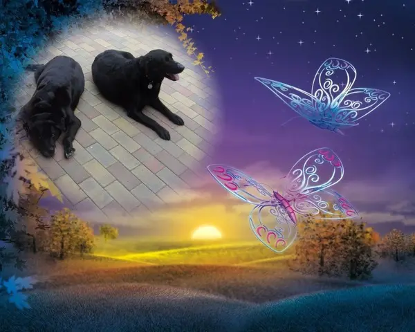 Condolence image of Unbekannt