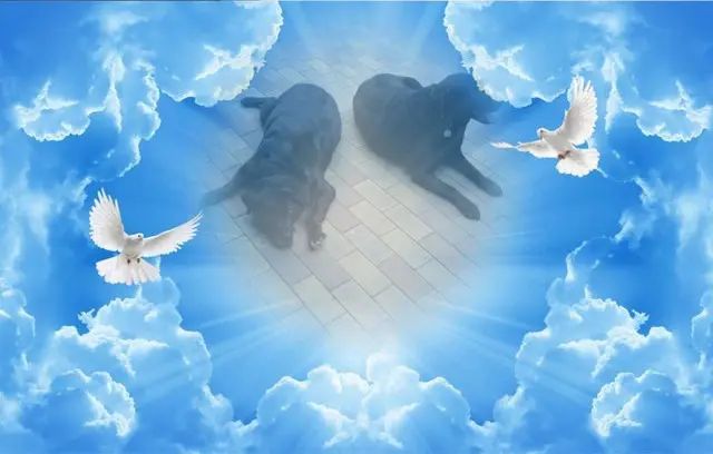 Condolence image of ❤️❤️❤️