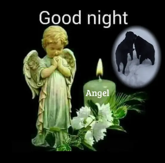 Condolence image of ❤️❤️❤️