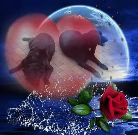 Condolence image of ❤️❤️❤️