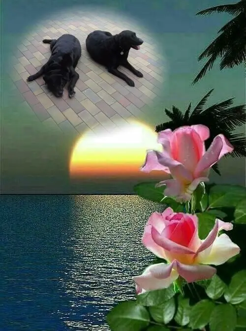 Condolence image of ❤️❤️❤️