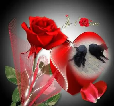 Condolence image of ❤️❤️❤️